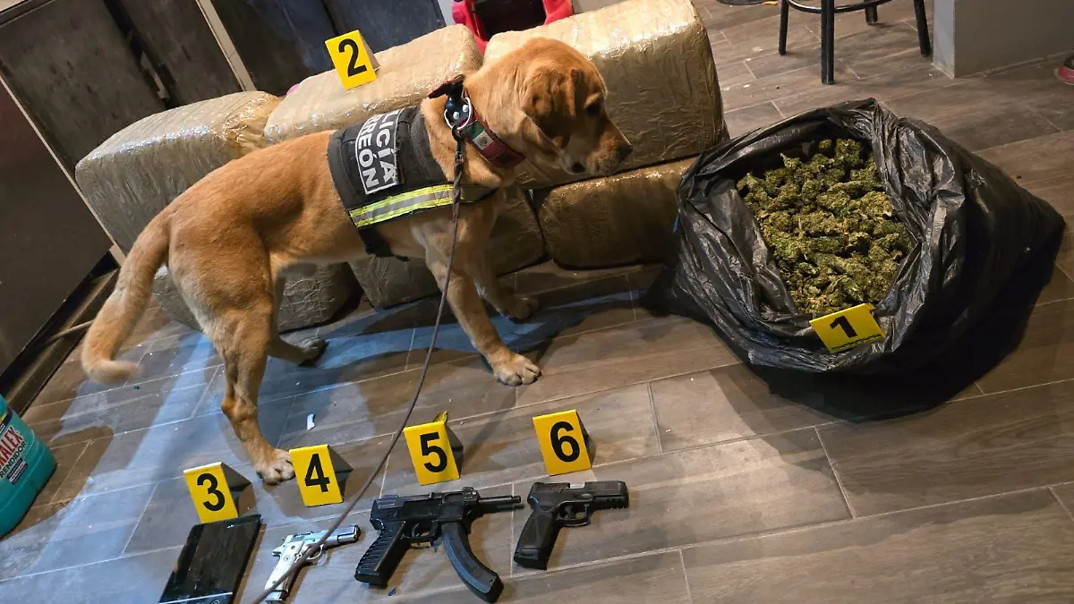 53e54f93-611f-4026-932a-dc8b6885fa26