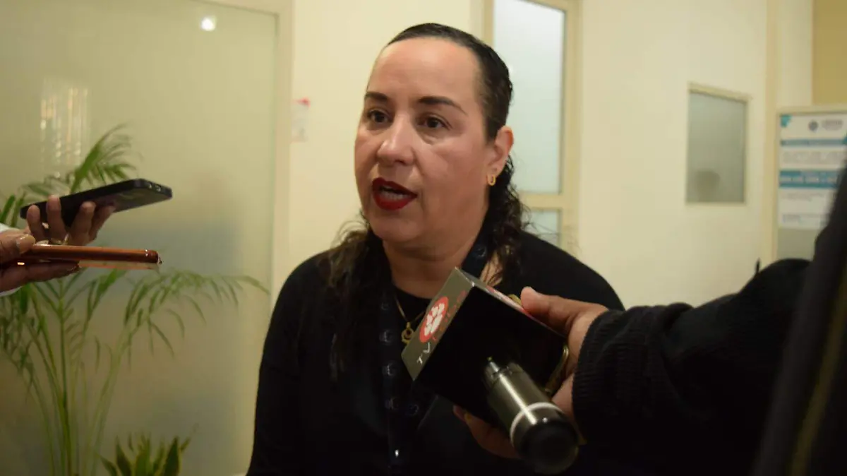 WhatsApp Image 2026-02-13 at 12.34.46