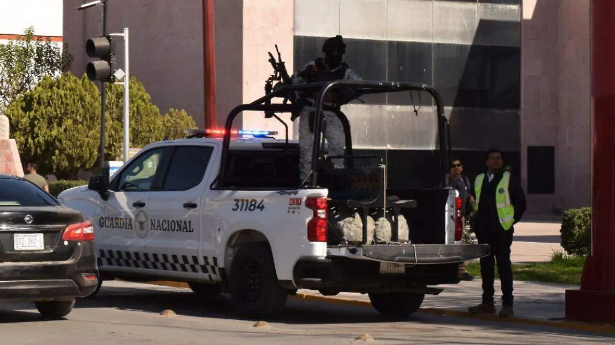 WhatsApp Image 2026-02-13 at 12.42.35