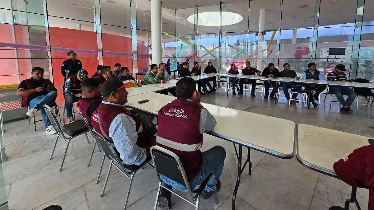 WhatsApp Image 2026-02-13 at 12.46.05