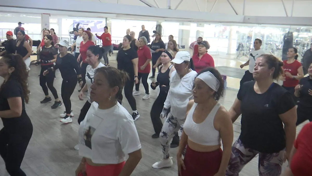 WhatsApp Image 2026-02-13 at 12.56.46