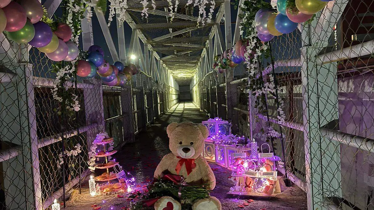 WhatsApp Image 2026-02-13 at 13.41.37