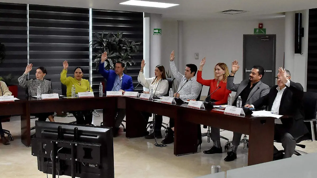 WhatsApp Image 2026-02-13 at 14.13.20