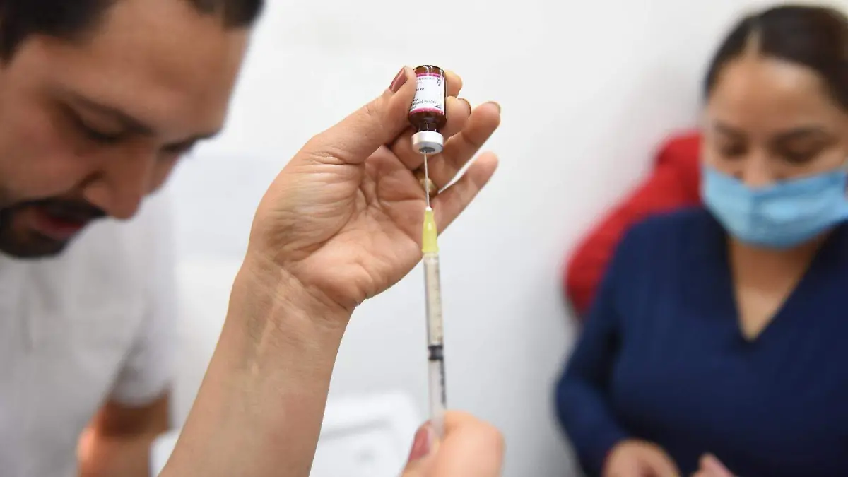 WhatsApp Image 2026-02-13 at 14.16.53