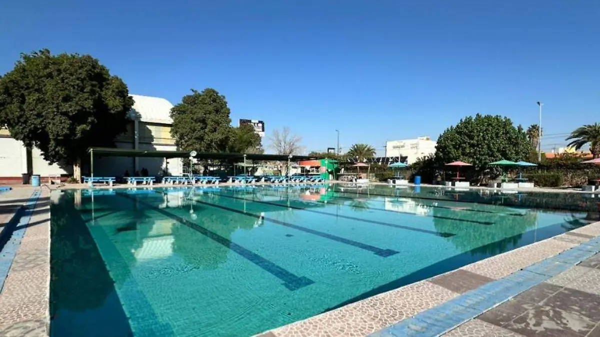 WhatsApp Image 2026-02-13 at 6.29.20 PM