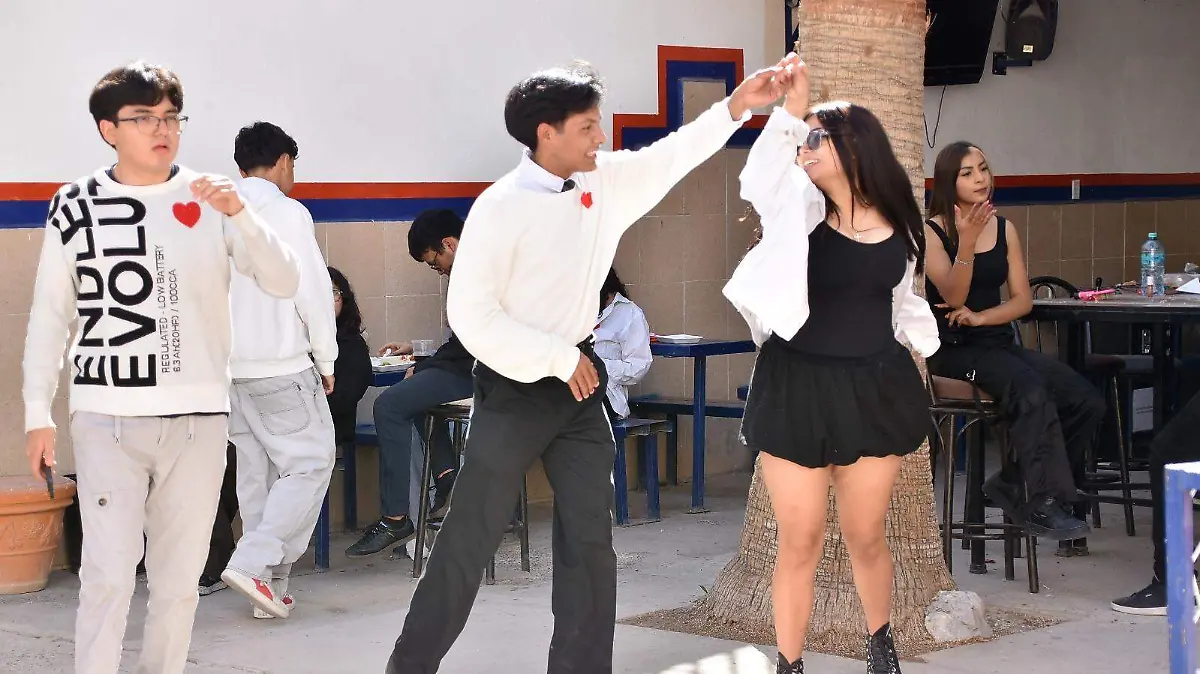 WhatsApp Image 2026-02-13 at 8.03.43 PM