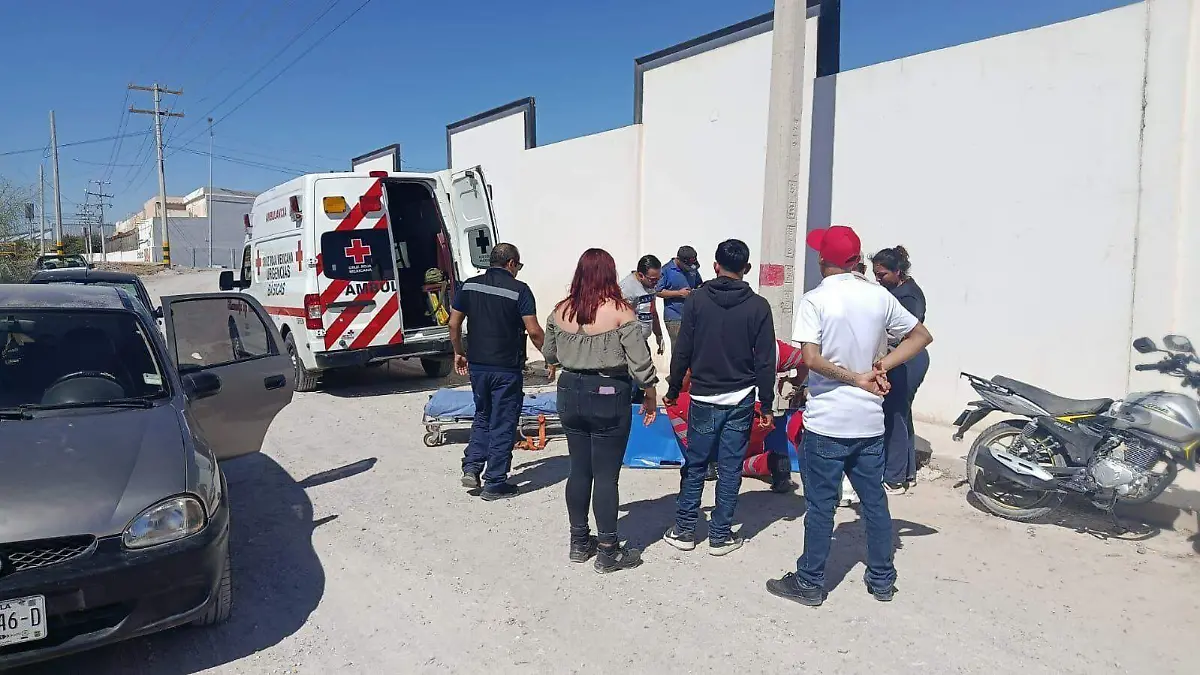 WhatsApp Image 2026-02-14 at 12.38.02 PM