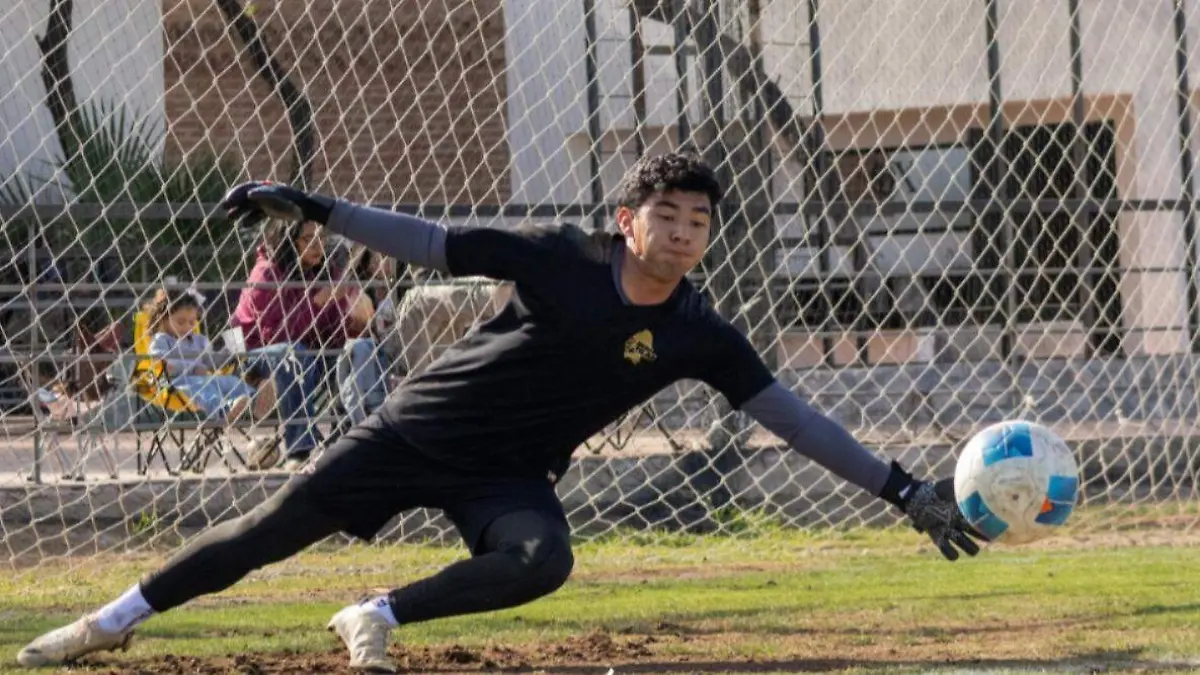 WhatsApp Image 2026-02-14 at 4.02.12 PM