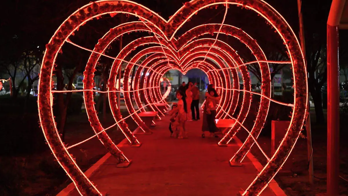 WhatsApp Image 2026-02-15 at 13.23.44