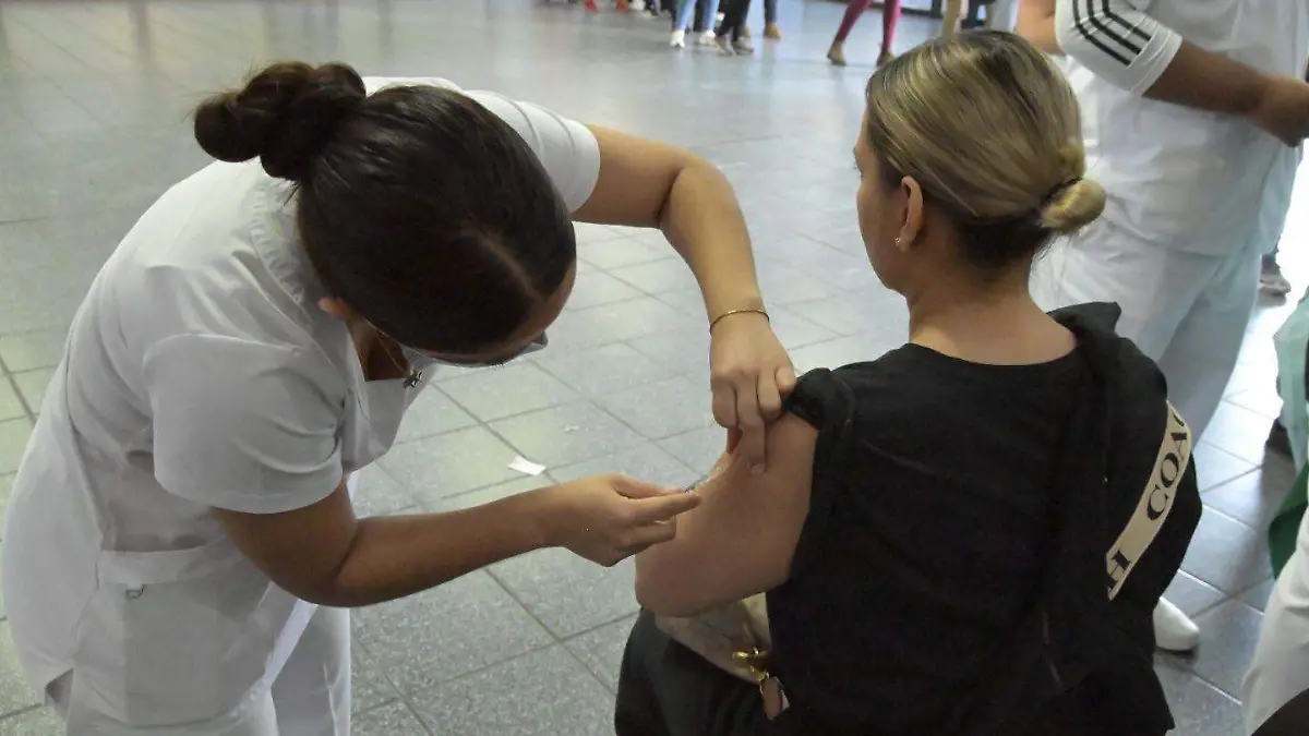 WhatsApp Image 2026-02-15 at 13.23.46