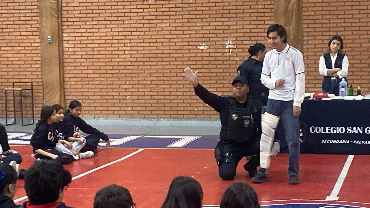 WhatsApp Image 2026-02-15 at 13.23.46 (1)