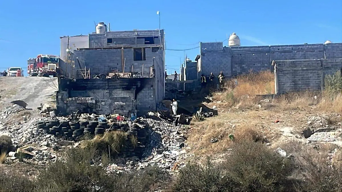 WhatsApp Image 2026-02-15 at 13.47.46