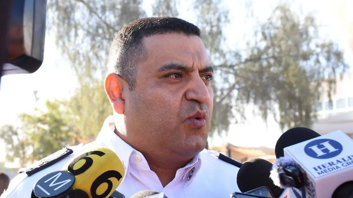 WhatsApp Image 2026-02-16 at 16.30.28