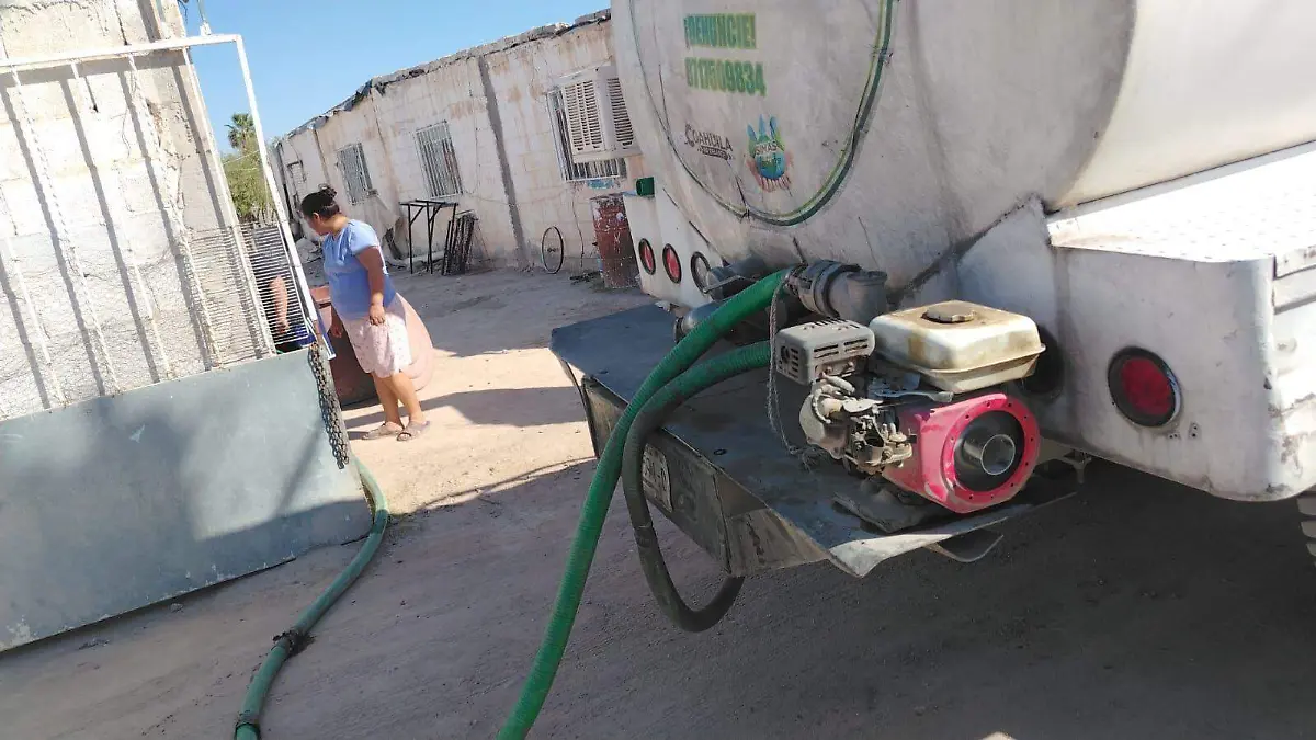 WhatsApp Image 2026-02-17 at 09.52.50