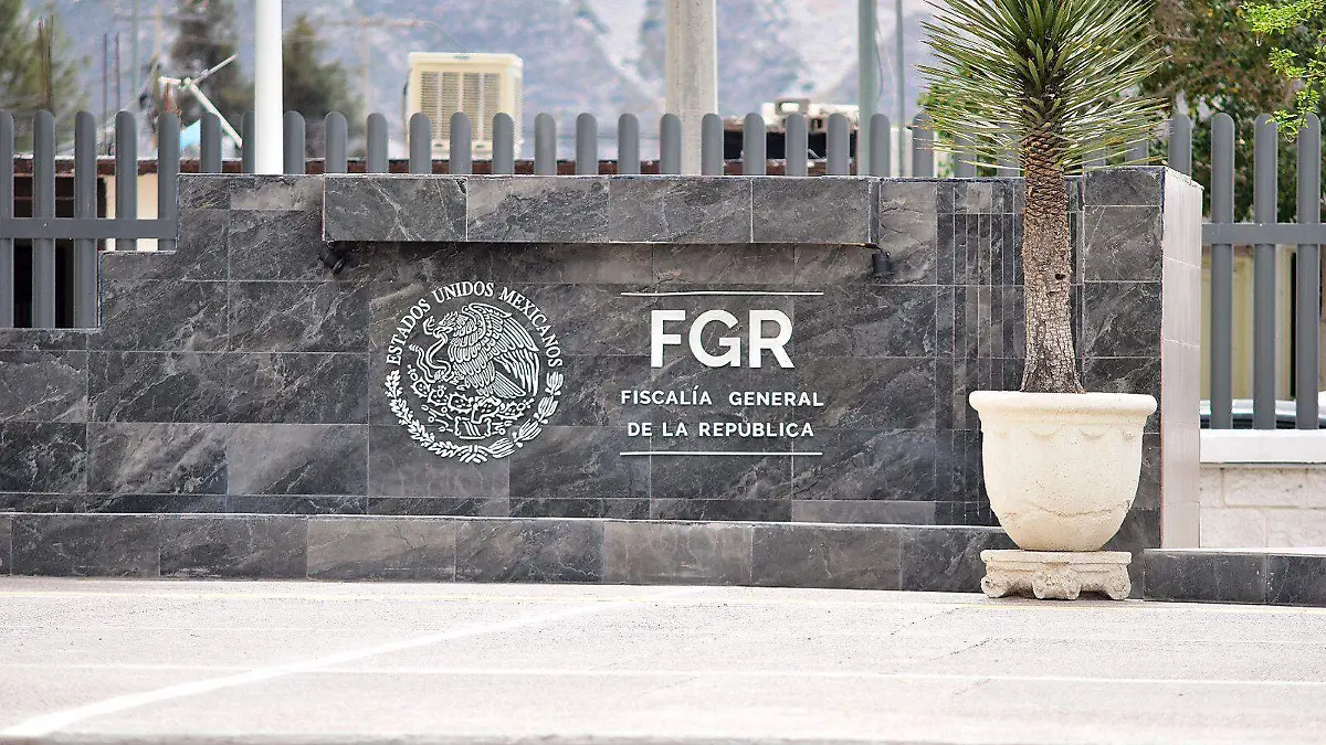 WhatsApp Image 2026-02-17 at 10.08.01