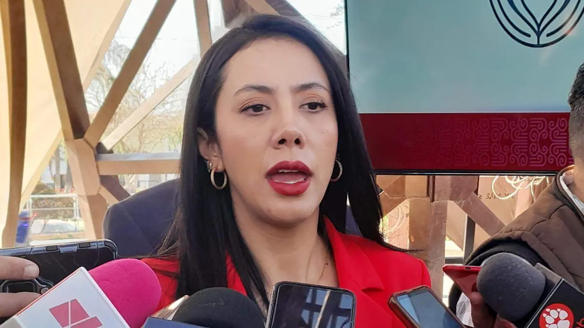 WhatsApp Image 2026-02-17 at 11.47.10