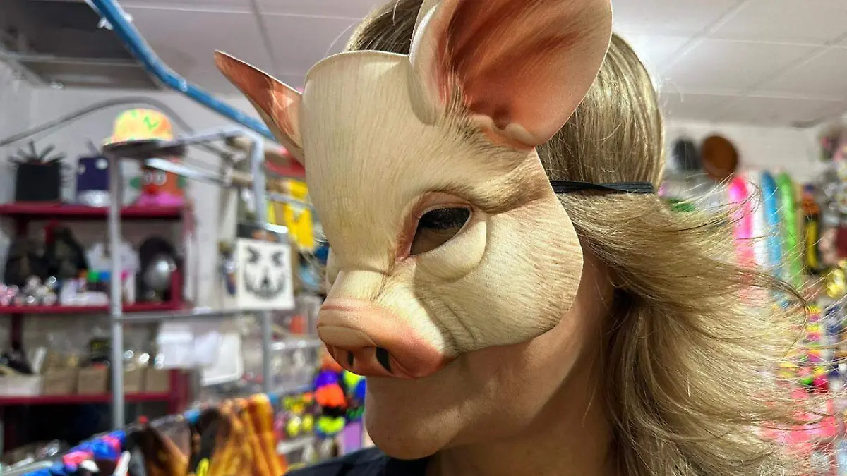 WhatsApp Image 2026-02-17 at 12.09.55