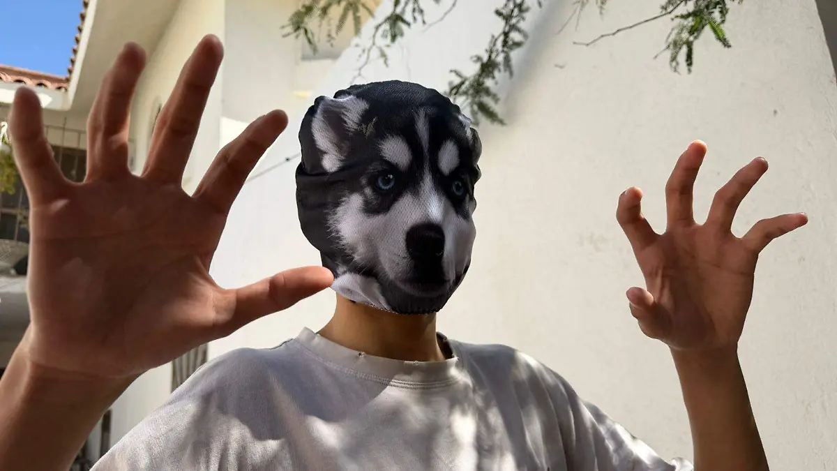 WhatsApp Image 2026-02-17 at 12.20.29