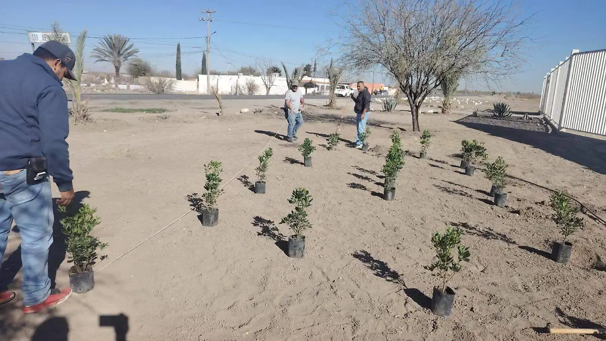 WhatsApp Image 2026-02-17 at 13.03.33