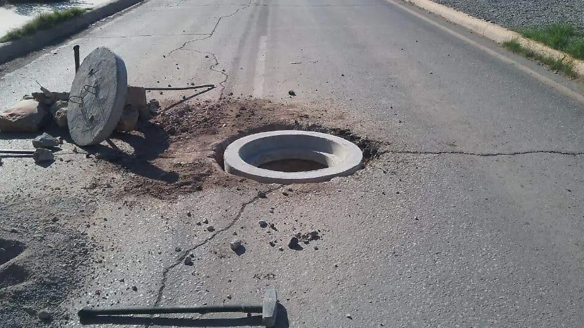 WhatsApp Image 2026-02-17 at 13.43.47 (1)