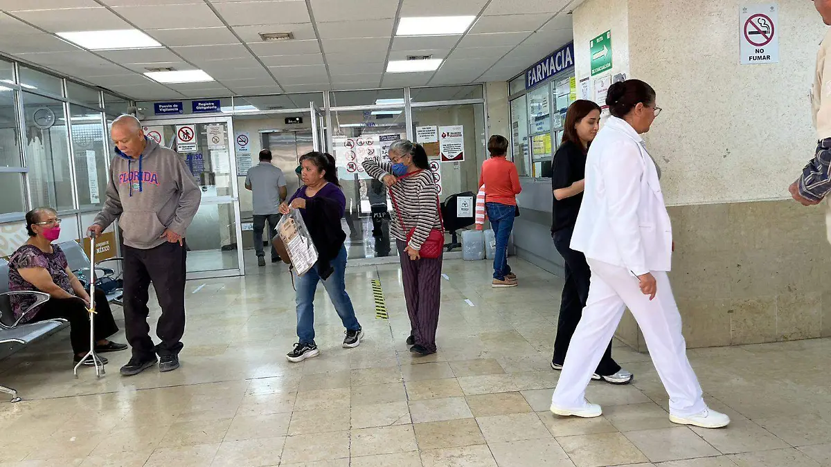 WhatsApp Image 2026-02-17 at 13.55.17