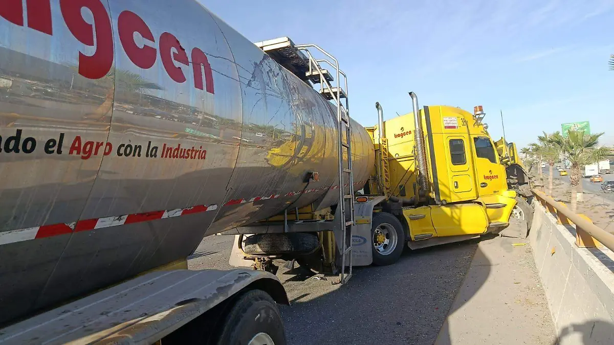 WhatsApp Image 2026-02-17 at 6.24.26 PM