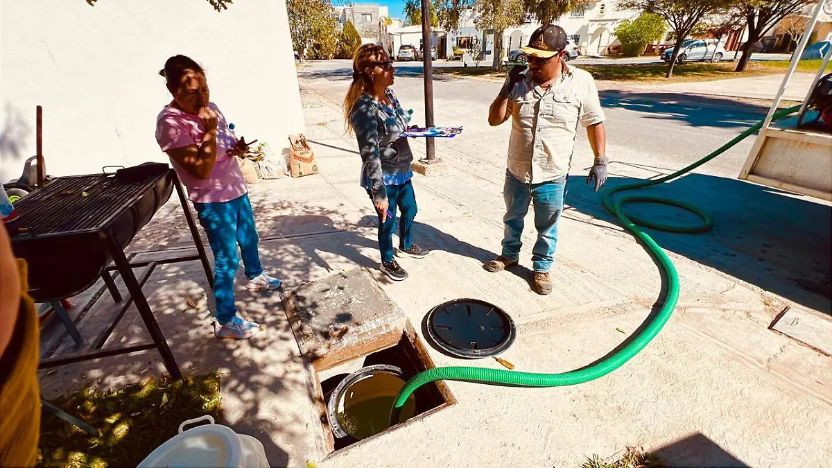 WhatsApp Image 2026-02-17 at 5.29.06 PM