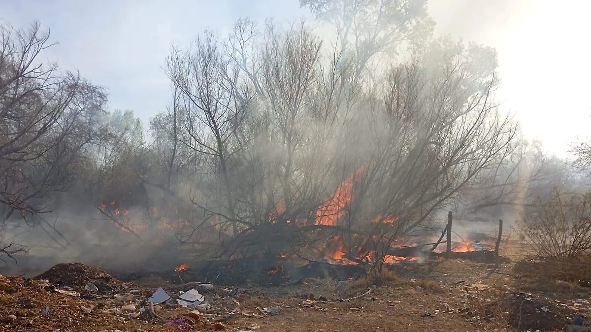 WhatsApp Image 2026-02-18 at 13.30.32