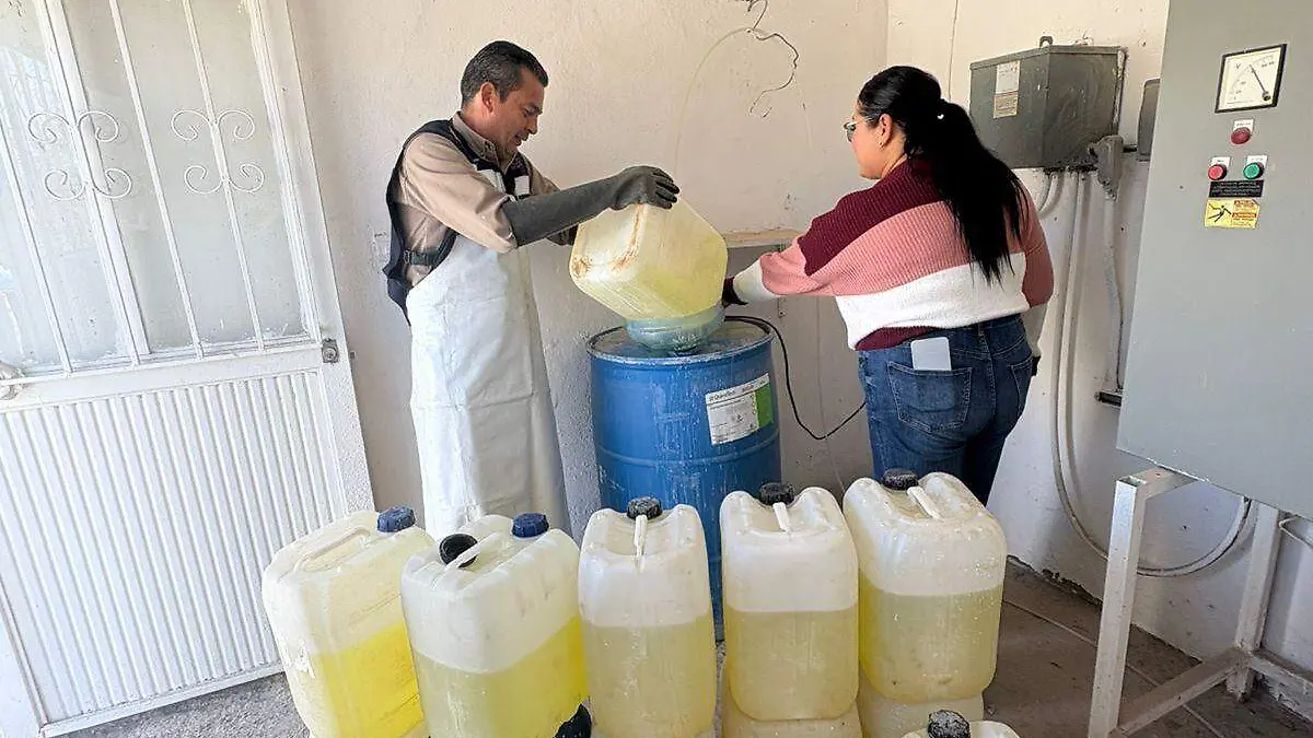 WhatsApp Image 2026-02-18 at 13.30.34