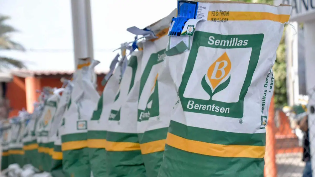 WhatsApp Image 2026-02-18 at 13.30.31