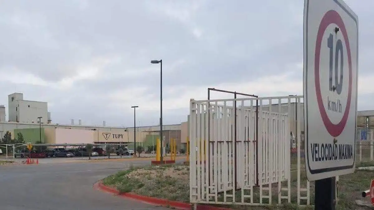 WhatsApp Image 2026-02-18 at 14.48.50