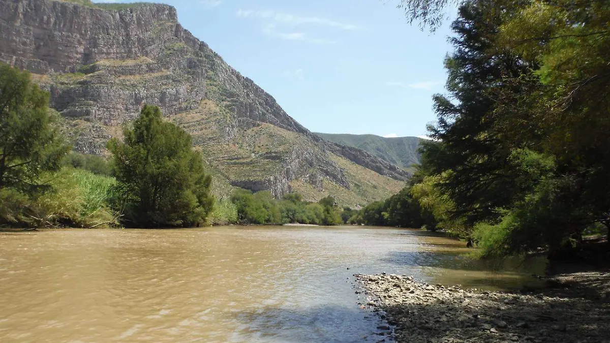 WhatsApp Image 2026-02-18 at 5.44.42 PM