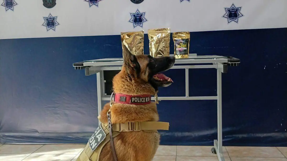 WhatsApp Image 2026-02-18 at 10.19.27 PM