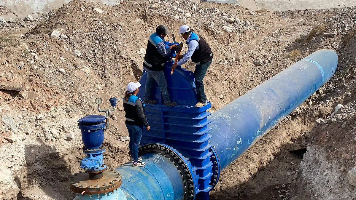 WhatsApp Image 2026-02-19 at 10.46.03