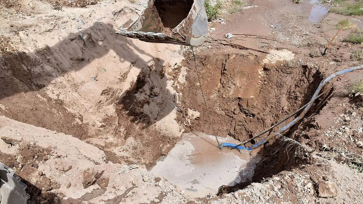 WhatsApp Image 2026-02-19 at 14.33.31