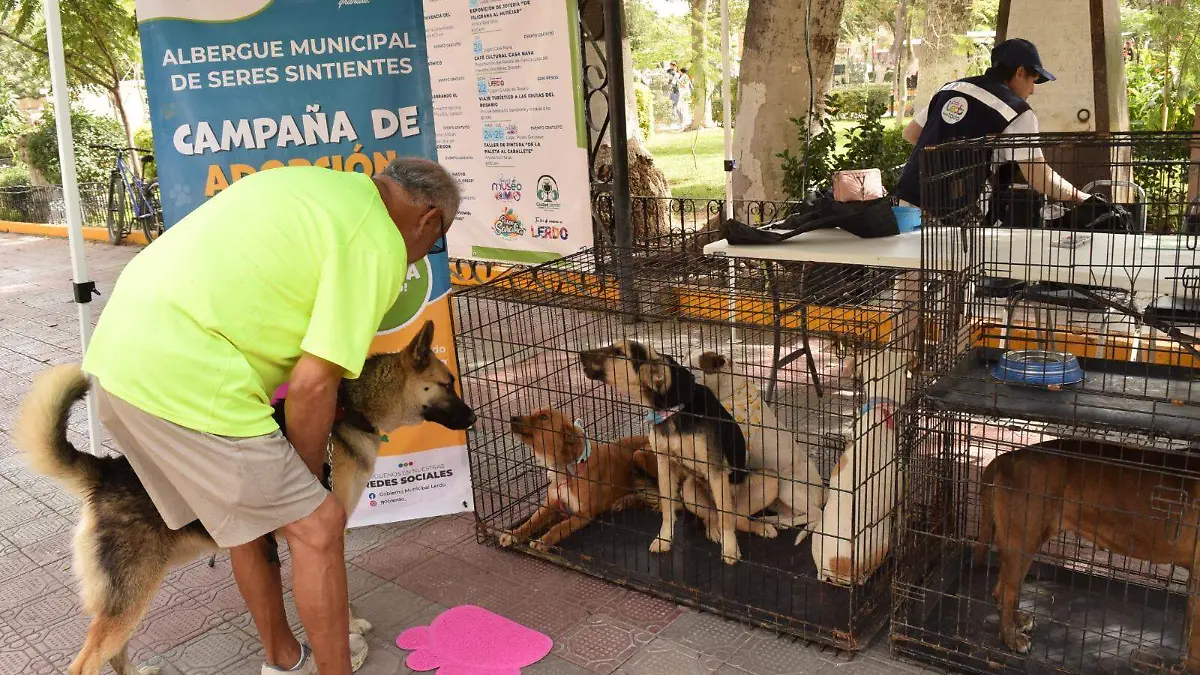 WhatsApp Image 2026-02-19 at 15.03.27