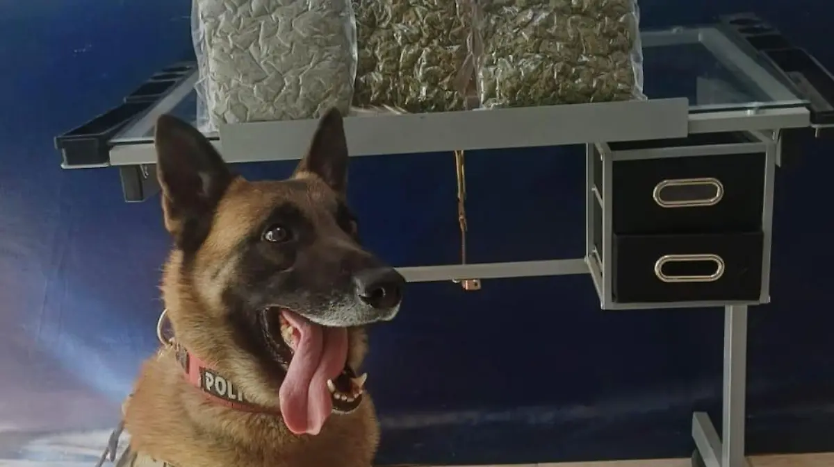 a0f0b7ef-1a24-4393-9954-51cfb4d7c52c