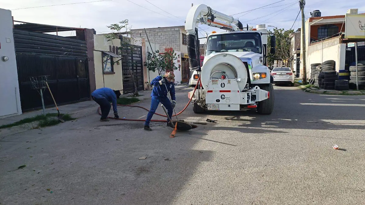 WhatsApp Image 2026-02-19 at 9.22.54 PM