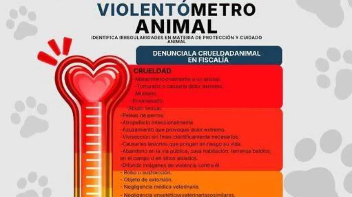 WhatsApp Image 2026-02-20 at 09.35.06