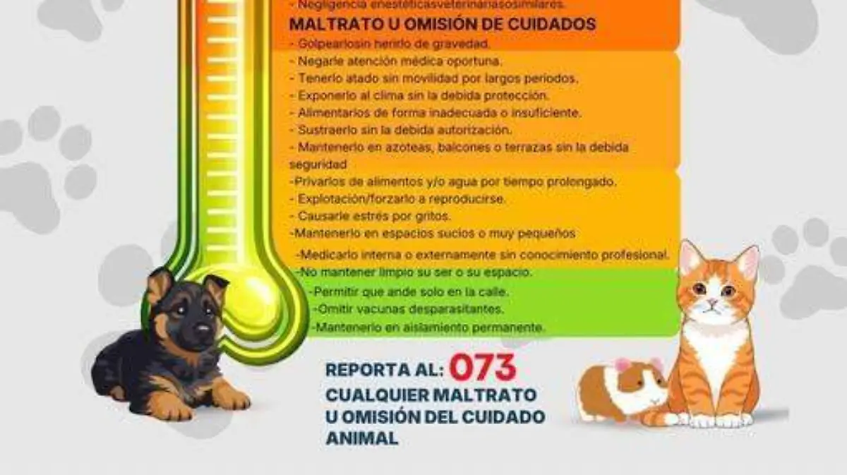 Lanzan Violentómetro Animal de Torreón.