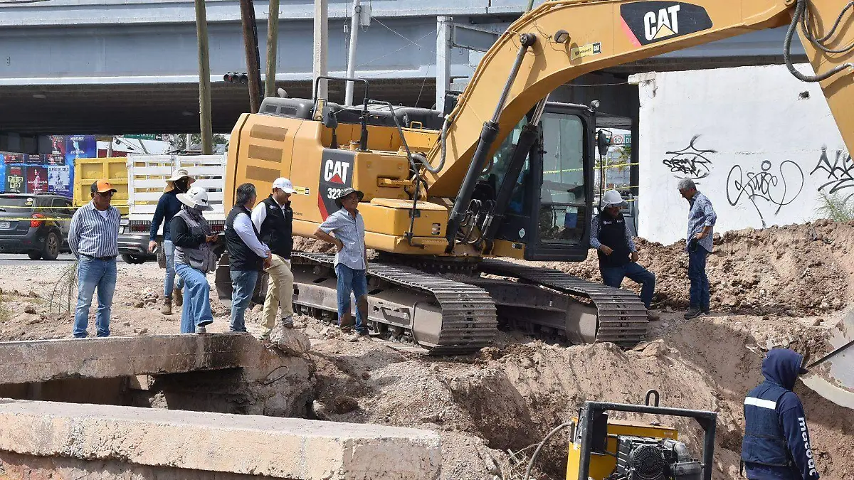 WhatsApp Image 2026-02-20 at 11.03.26