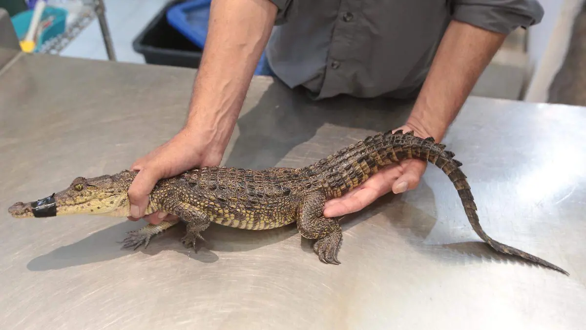 WhatsApp Image 2026-02-20 at 14.21.27