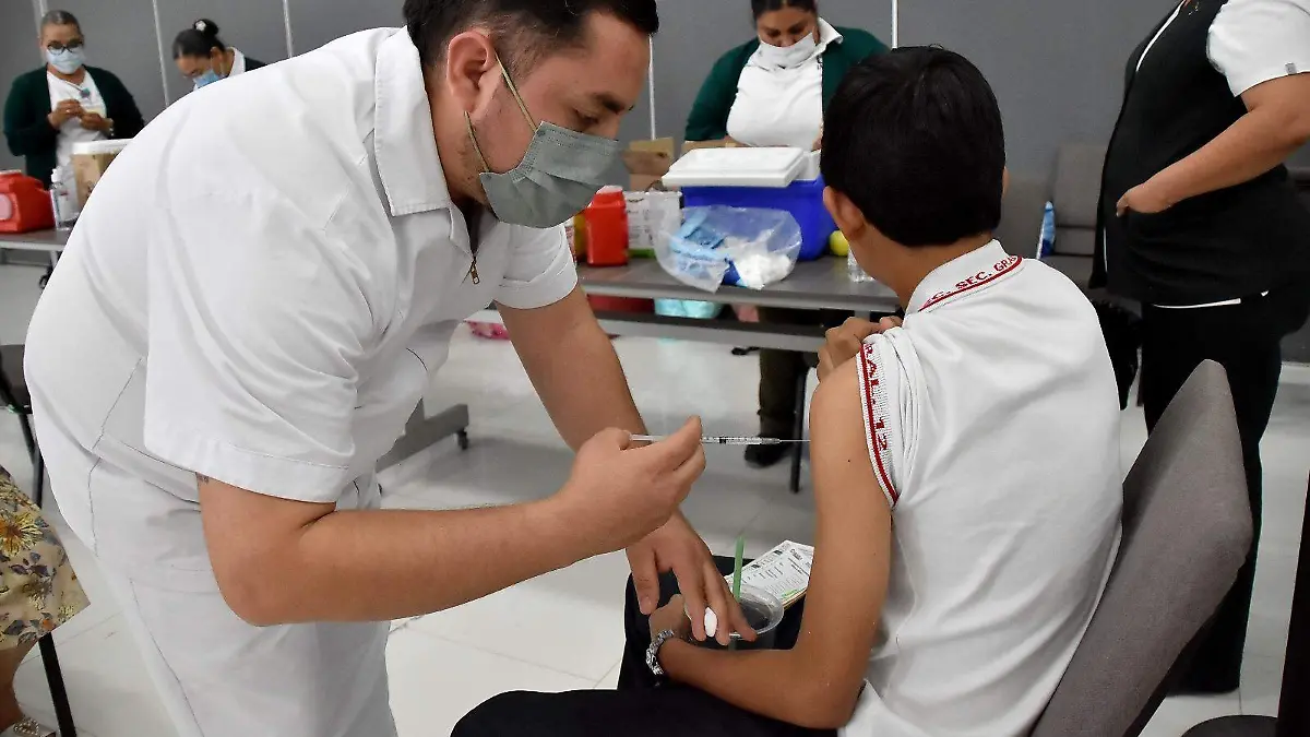 WhatsApp Image 2026-02-20 at 14.59.36