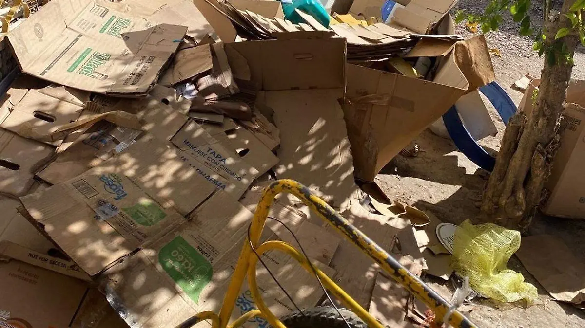 WhatsApp Image 2026-02-20 at 15.46.00