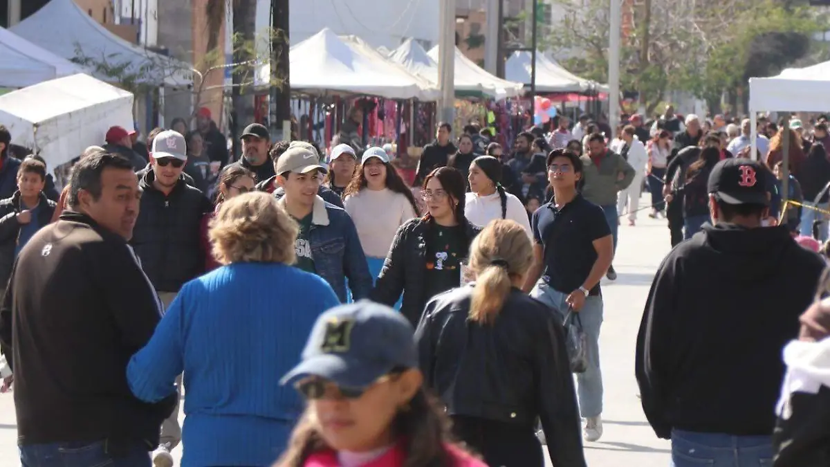 WhatsApp Image 2026-02-20 at 15.55.15