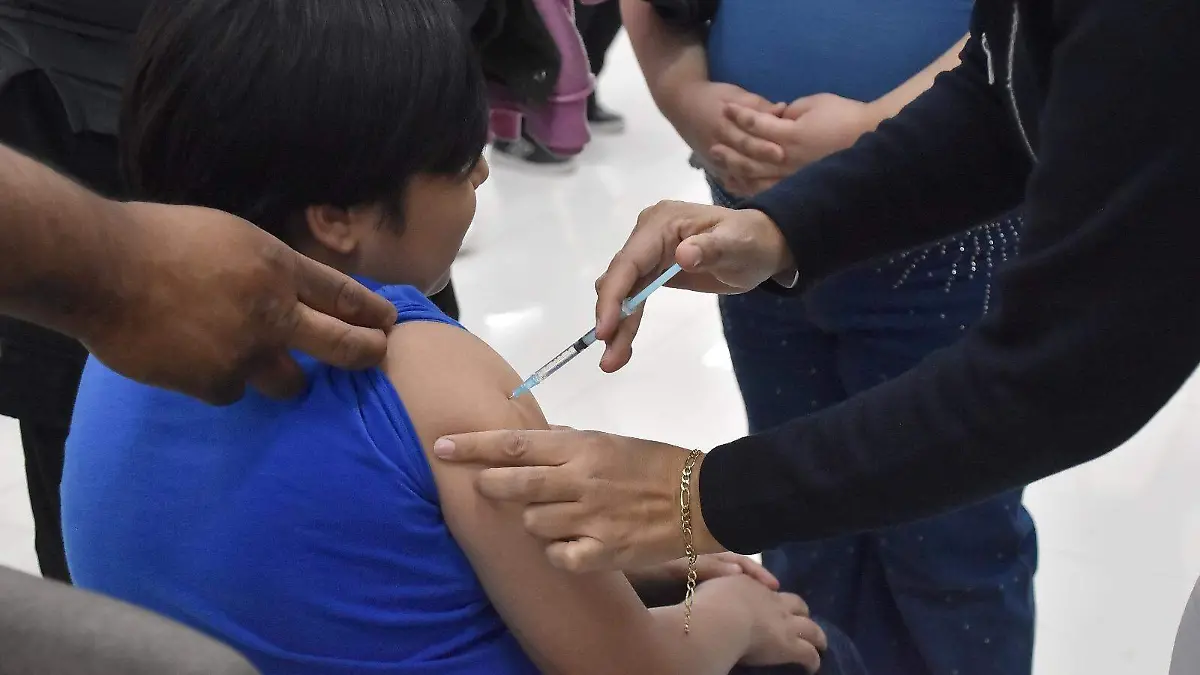 WhatsApp Image 2026-02-20 at 16.39.54