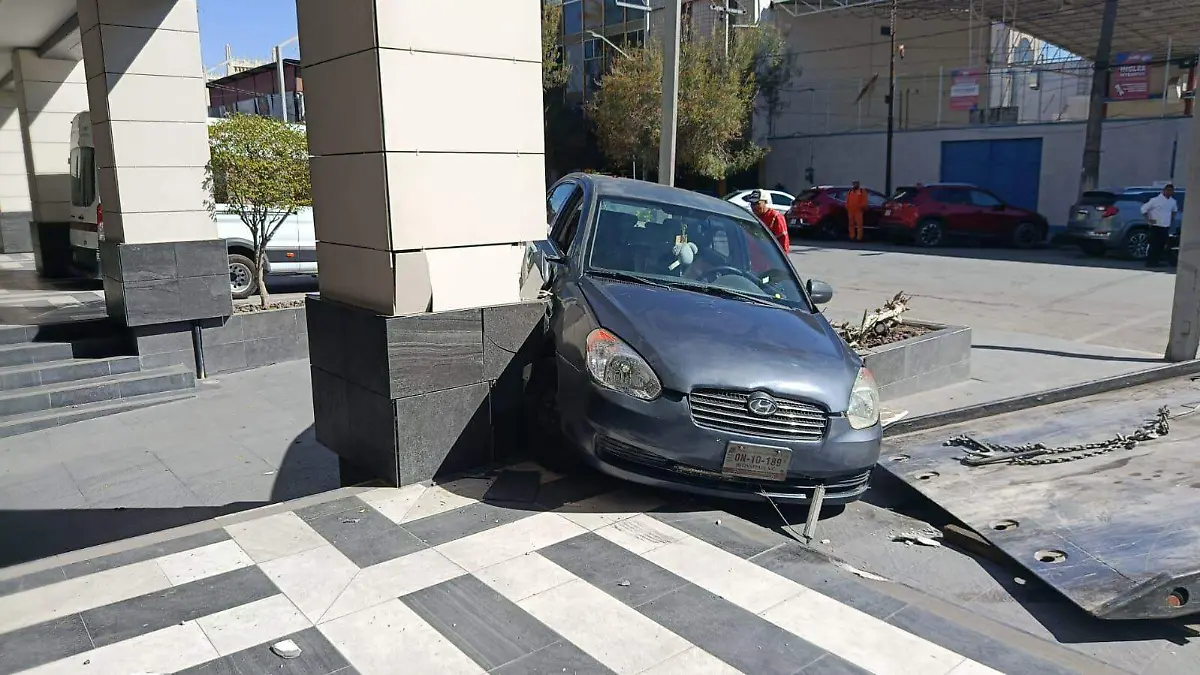 WhatsApp Image 2026-02-21 at 2.50.05 PM