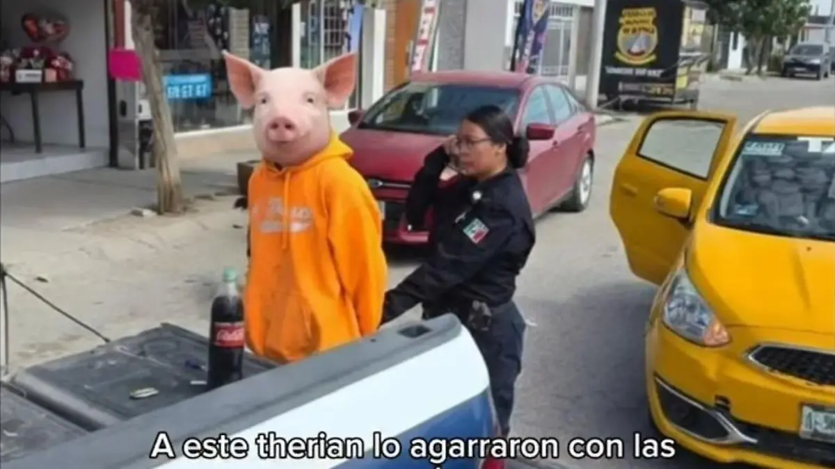 d787a5ba-0368-4475-bd2f-42bcae383574