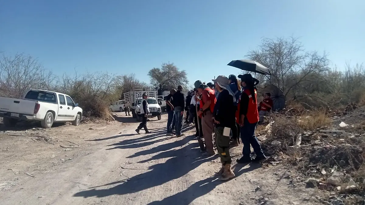 207cd6d5-363c-4f2c-a136-156a7f0d282a