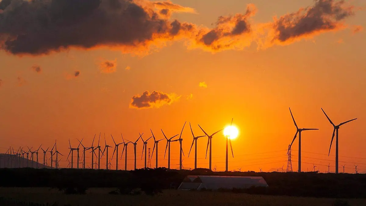 WhatsApp Image 2026-02-23 at 6.30.49 PM